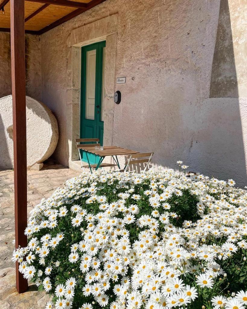 Chiusa Del Curiale - Ospitalita In Vigna Bed and Breakfast Comiso Εξωτερικό φωτογραφία